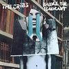 「IGNORE THE IGNORANT」THE CRIBS