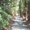 鷺の森神社