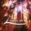 お爺のウォーク＆ジョグ～ウィズ・ソング～《2023／No.148》｜今日聴いたのは・・・『ルナサ(Lúnasa)／レッドウッド(Redwood)【AMU[HD]】【SPD】』｜アイリッシュ・フリークのヤング・フレンドに教えてもらって聴いたけど・・・ドウヨ！どうよ！＜？＿？＞！ドウヨ！よすぎてコマッタよ＾・＾；＼＾O＾／！＾・＾；