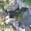 池の濾過槽掃除