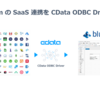 インテリジェントオートメーション RPA Blue Prism で CData ODBC Driverを使う方法：Salesforce からデータを取得する 