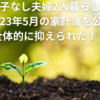 【子なし夫婦2人暮らし】2023年5月の家計簿を公開～全体的に抑えられた！！～