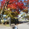 軽井沢・秋の旅　〜紅葉を求めて(後編)〜