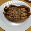 肉とかに…