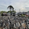 メモ　観光地な谷根千