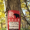 クマの着ぐるみ