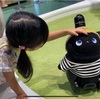 【保育参加】4歳娘の保育園で遊んできた！