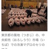 漁業の仕事④ せり　もっとも高値で買う商売人