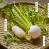 1月7日は七草粥を食べる日。冬なのになぜ「春の七草」というの？