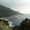 屋久島 –  L’île de YAKUSHIMA