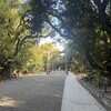「判断」が、否定を生んでしまう。