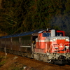 DD51-1043の牽く「DL津和野稲荷号」を撮る！(本門前踏切編)