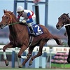 2021年　第24回（66回）有馬記念（GⅠ）中山競馬場　芝2500m   消去法データ