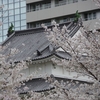 【花見】昼も夜もサクラな一日⑥　～お腹を満たしたら再び桜を求めて～