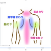肥満と褐色脂肪細胞