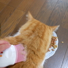 心を癒やしてくれるのは、もふもふと温かいメッセージ。