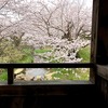 花の日の