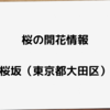 【桜】桜坂の桜の開花情報をお届けします。（2022年）