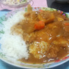 今日の晩飯　カレーライスを作ってみた。