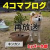 犬と猫の４コマ漫画　再放送2：キンカン