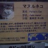 ナイトズー＠上野動物園