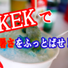 高エネルギーで夏の暑さをふっとばせ！研究機関のひっそりとやってるイベントに潜入！【KEK暑気払い】