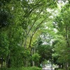 2026.5.24　洞峰公園～台山公園