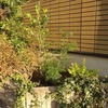 フェンス・鉢植え・植込みの作業 10月28日