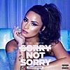 Sorry Not Sorry - Demi Lovato【歌詞和訳】