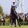 乗り替わりが決まってトーンダウンしてしまいましたが、今回も勝ち鞍がある舞台なので、ベイリーフの良さを引き出す為に道中でしっかり脚を溜めて欲しいところ。大外枠は辛いですが、気楽な立場を生かして少しでも上位を目指して欲しい。★ロードベイリーフ