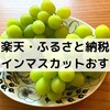 【楽天】ふるさと納税のシャインマスカットならここ！激甘で家族みんな大満足の食レポ♪