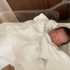 娘が産まれたので、半年育休を取ります。