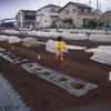 ほうれん草、カブ、ルッコラ、レタス、里芋、キャベツ、ブロッコリー、トウモロコシ、枝豆