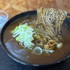 立ち食い　門仲そば　その十一　〜カレーそば・カレー南蛮そばを極めてみる　その十四〜