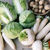 立冬、冬野菜で効果的にダイエット！各野菜の特徴～大根煮物