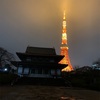 東京タワーが綺麗に見える場所☆芝公園の近くにある大本山増上寺