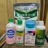 イチゴの薬剤散布　7/29