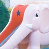共感ってなんだろう？