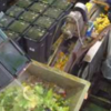 食から学ぶSDGs「SDGs給食」(2025/1/22)