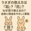 うさぎの数え方は「羽」？「匹」？なぜ羽で数えるの？由来と理由をやさしく解説！