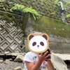 3歳3ヵ月！のんびり息子の成長記録