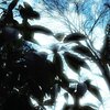 3月の発見とこれからの抱負