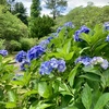 飛騨川の氾濫で国道41号線がズタズタになった日に思う。