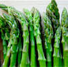 Check the Freshness of Asparagus before Accepting Order from Its Suppliers