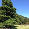 【香川県】栗林公園の素晴らしさを共有したい