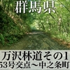 【車載動画】群馬県中之条町 万沢林道 その1