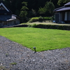 初芝刈り！隣の芝は人工芝だった(笑)