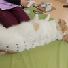 まずは鍼灸からね。