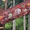 初夏満喫！