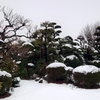 春雪と春雷の合盛り、、ﾍ(^^ﾍ)